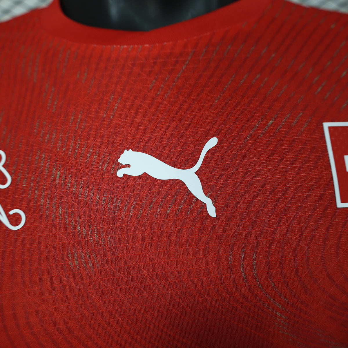 Jersey Suiza Local 2026
