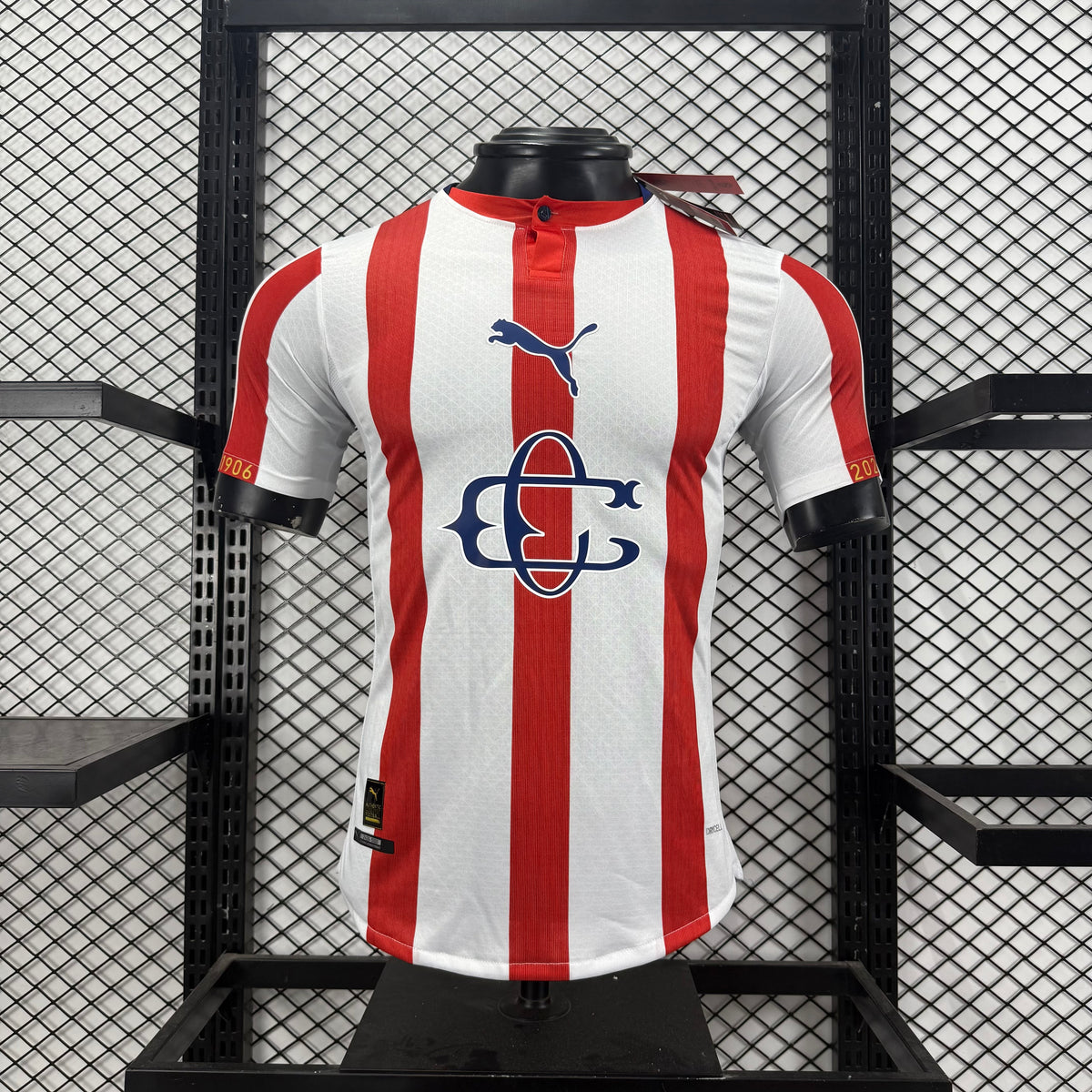 Jersey Chivas 120 aniversario