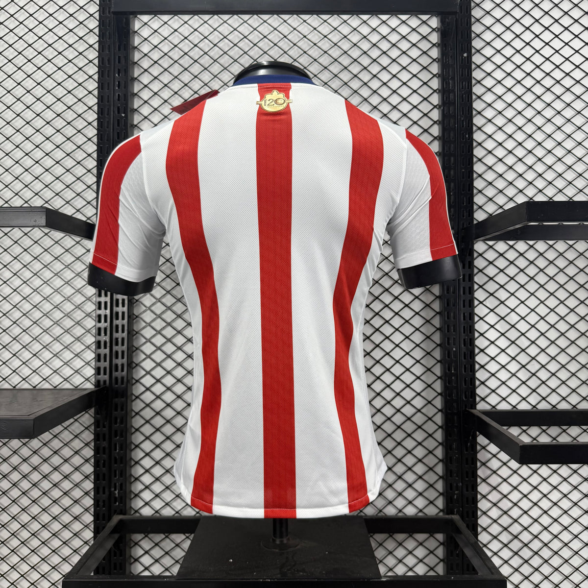 Jersey Chivas 120 aniversario