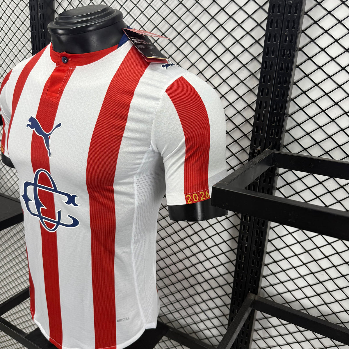 Jersey Chivas 120 aniversario