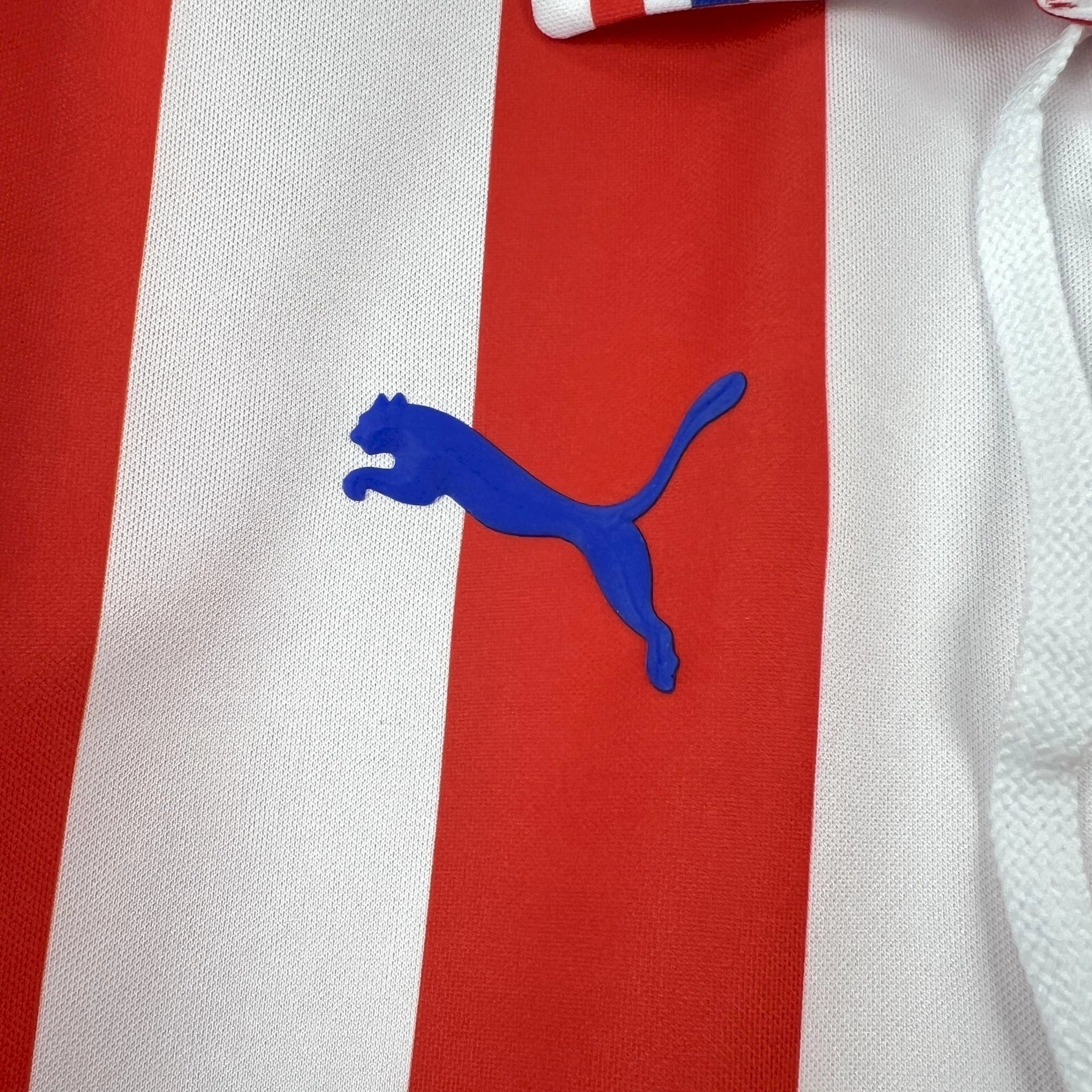 Jersey Chivas 16/17 Local