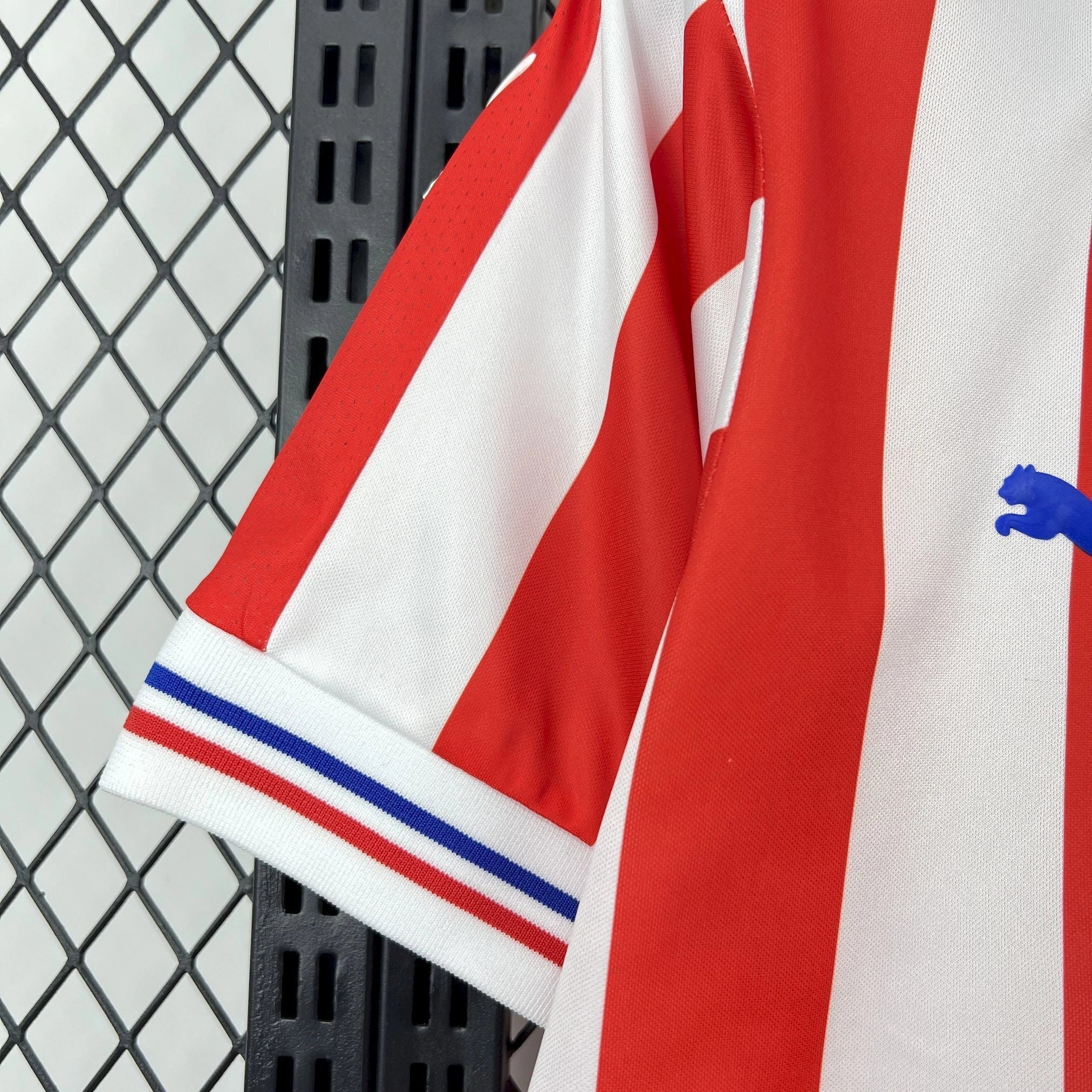 Jersey Chivas 16/17 Local